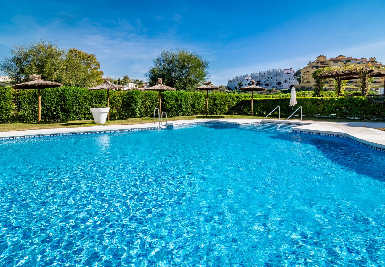 Swimming pool of family friendly holiday Apartment in Golf Hills