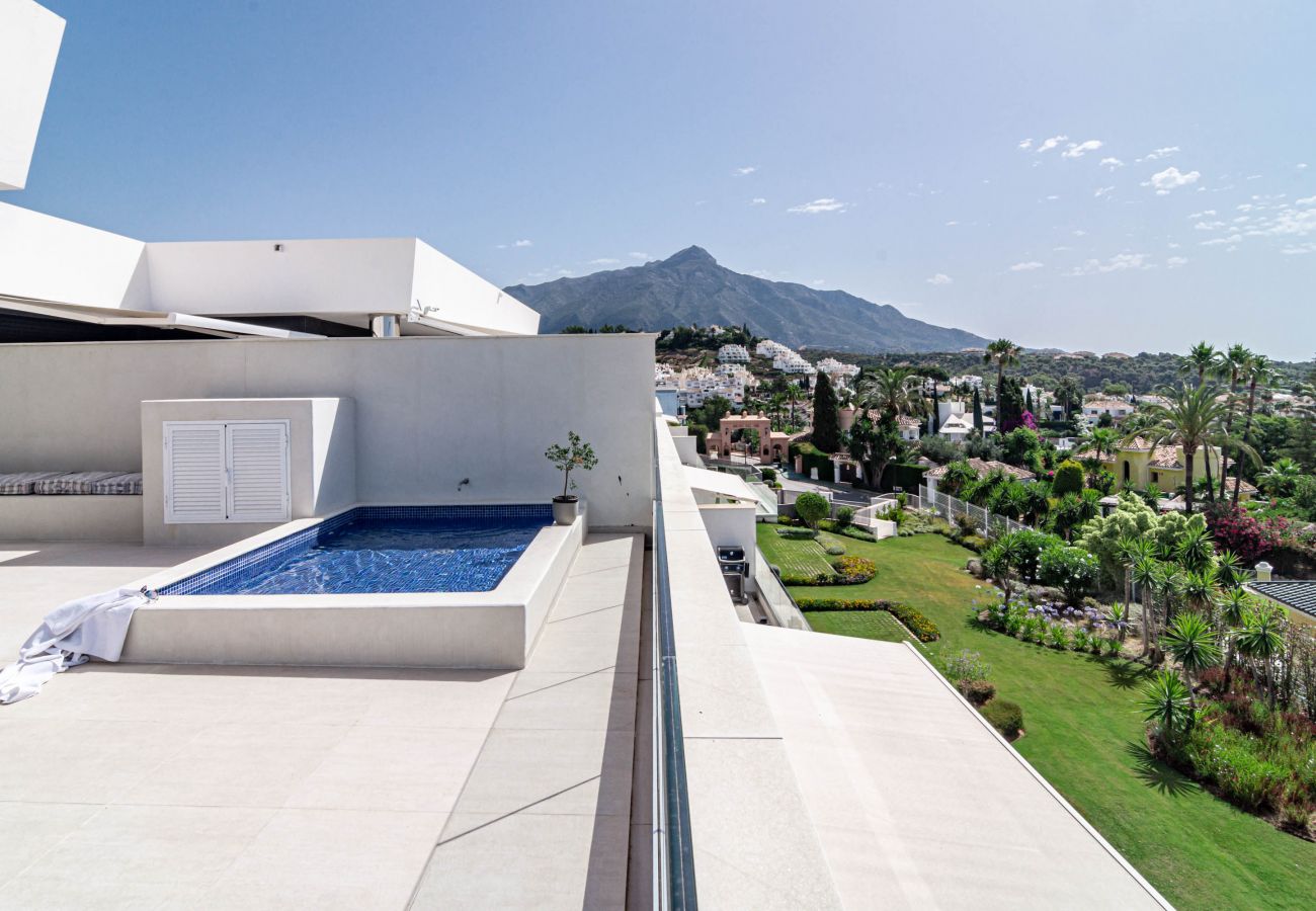 Apartment in Nueva andalucia - AZM- Spacious penthouse, plunge pool, sea view