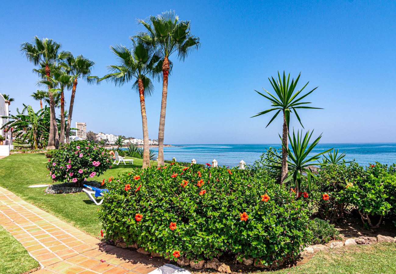 Apartment in Mijas Costa - PL- Beachfront seaview aptm – Playa de la Lucera