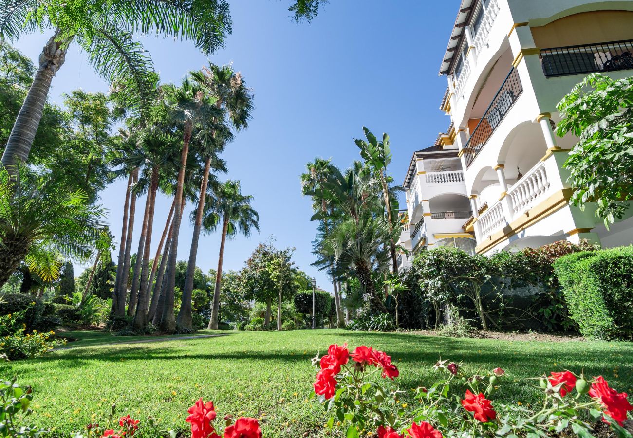 Lägenhet i Nueva andalucia - DN11-2 bedroom apartment close to Puerto Banus